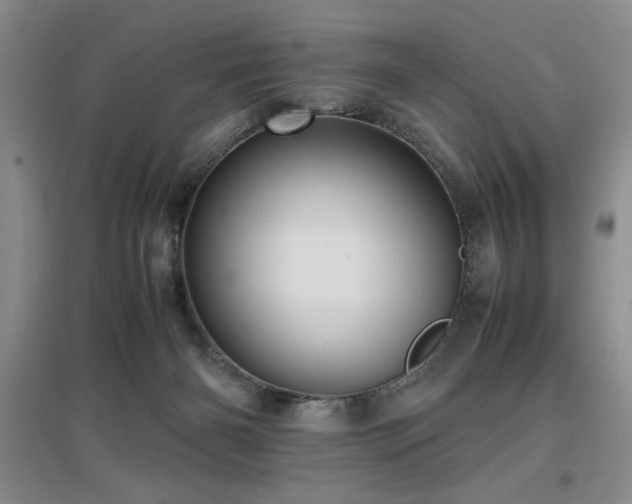 X0000097660126200802291436