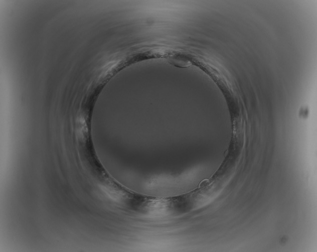X0000097660127200802291436