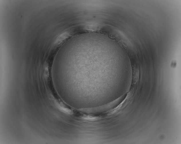 X0000097660128200802291436