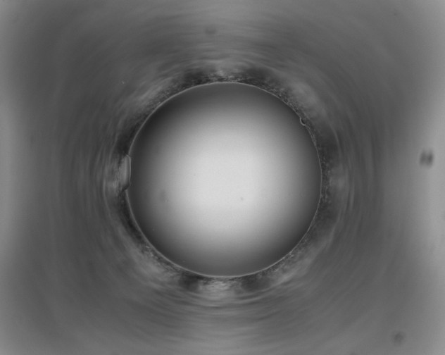 X0000097660129200802291436