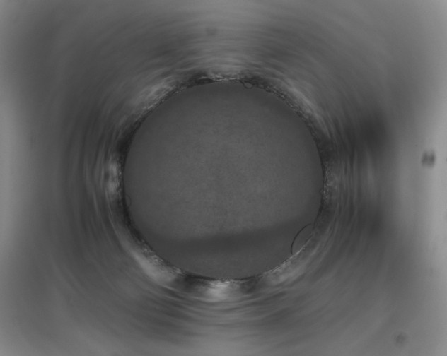 X0000097660130200802291436