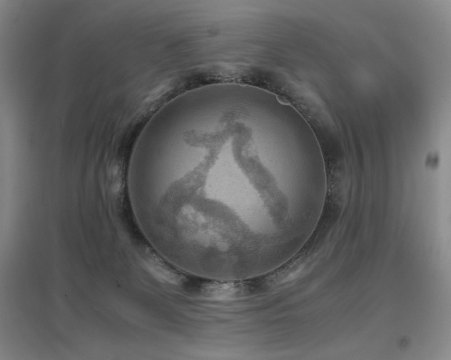 X0000097660131200802291436