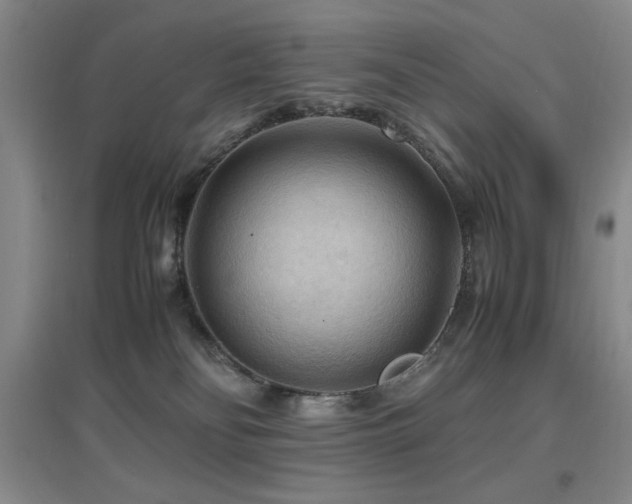 X0000097660134200802291436