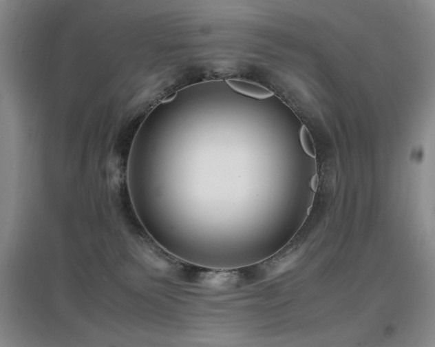 X0000097660135200802291436