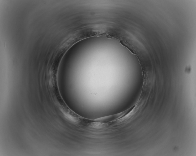 X0000097660136200802291436