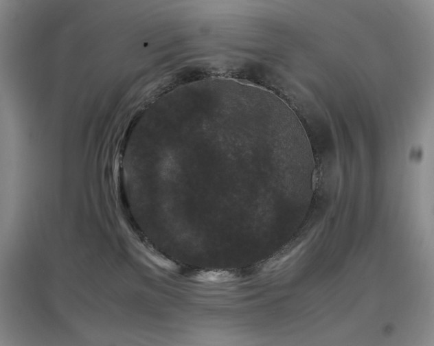 X0000097660137200802291436