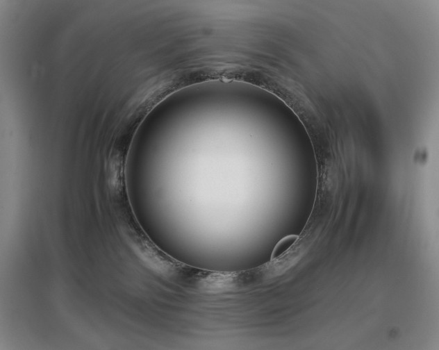 X0000097660138200802291436
