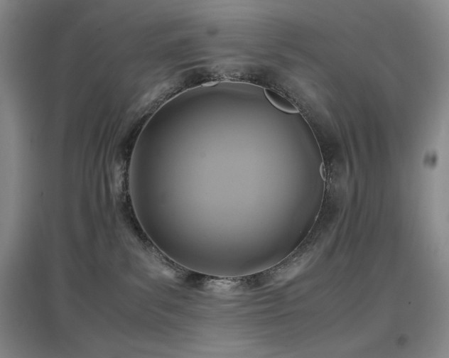 X0000097660139200802291436