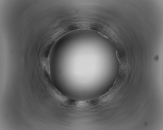 X0000097660141200802291435