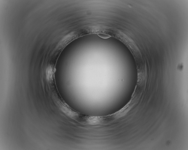 X0000097660142200802291435