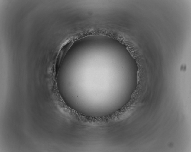 X0000097660144200802291435