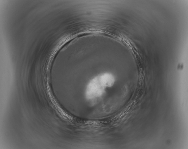 X0000097660145200802291435