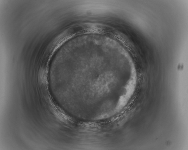 X0000097660146200802291435