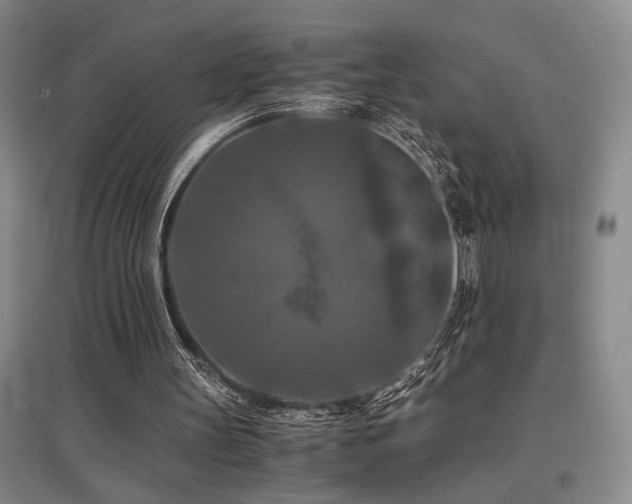 X0000097660147200802291435