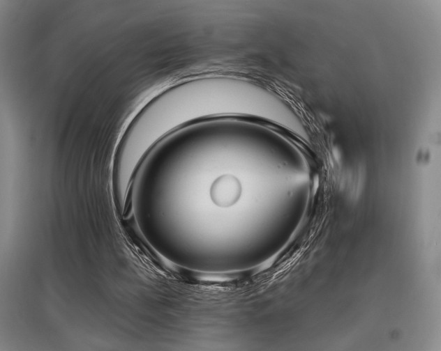 X0000097660148200802291435