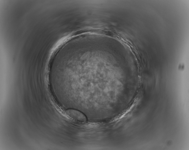X0000097660149200802291435