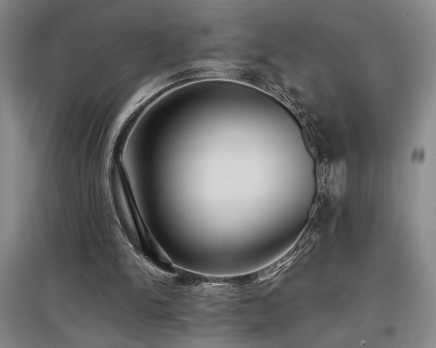 X0000097660150200802291435
