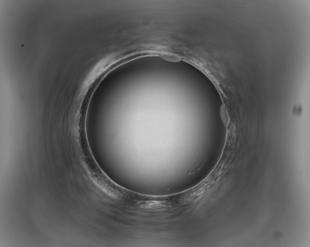 X0000097660151200802291435