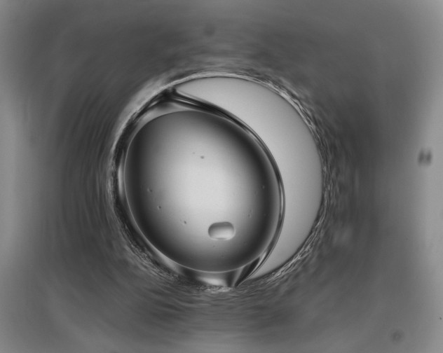 X0000097660152200802291435