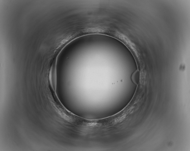 X0000097660153200802291435