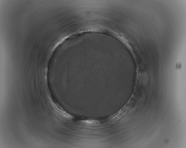X0000097660154200802291435