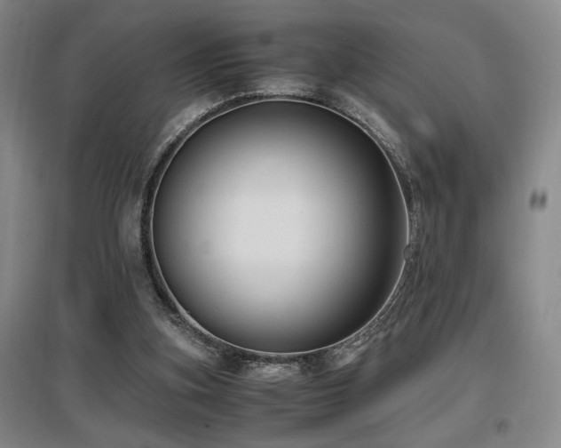 X0000097660155200802291435