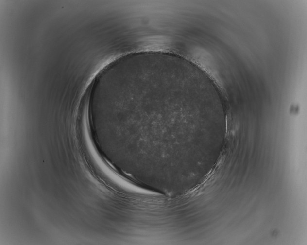X0000097660156200802291435