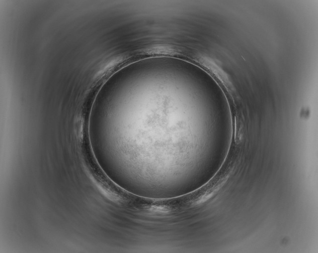 X0000097660157200802291435