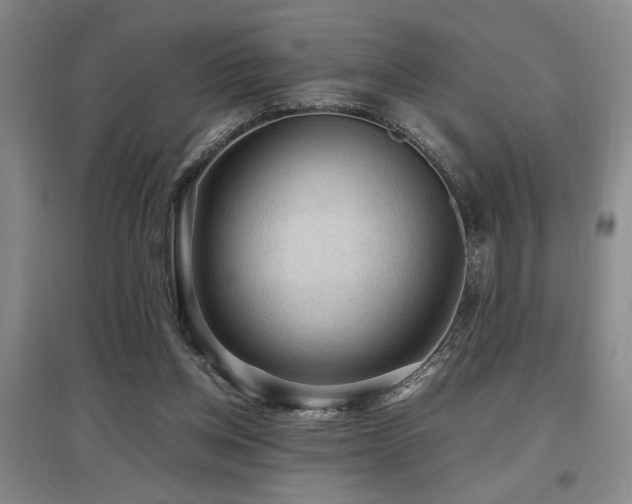 X0000097660158200802291435