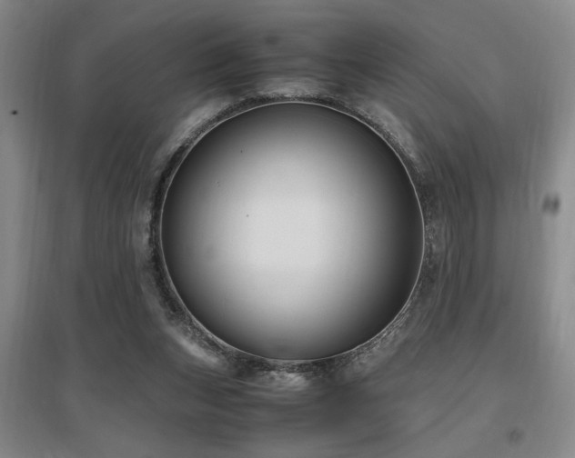 X0000097660159200802291435