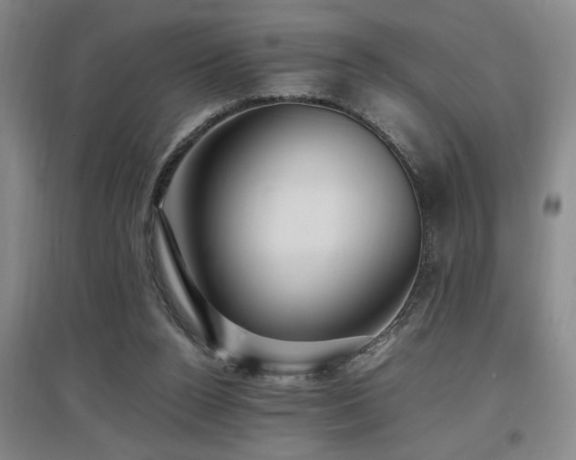 X0000097660160200802291435