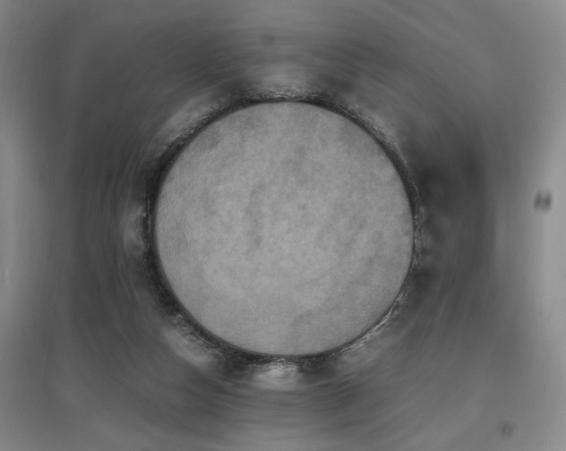 X0000097660162200802291435