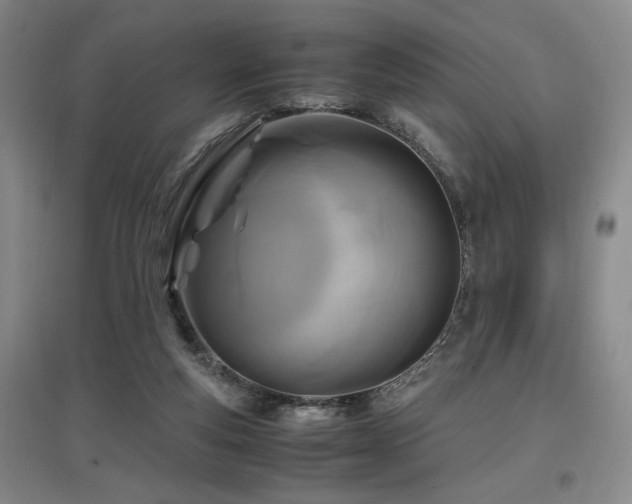 X0000097660163200802291435