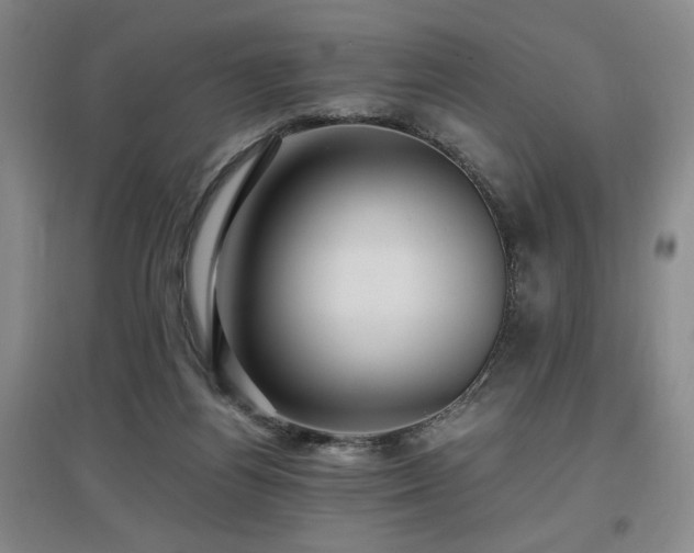 X0000097660164200802291435