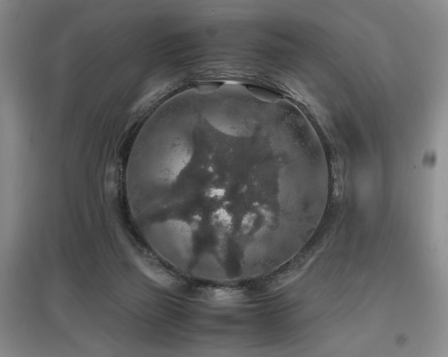 X0000097660165200802291435