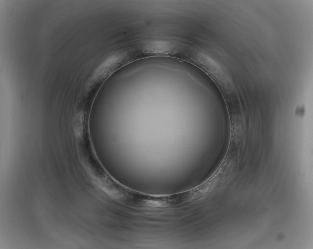 X0000097660167200802291435