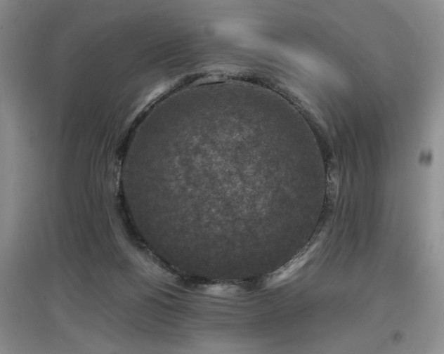 X0000097660168200802291435