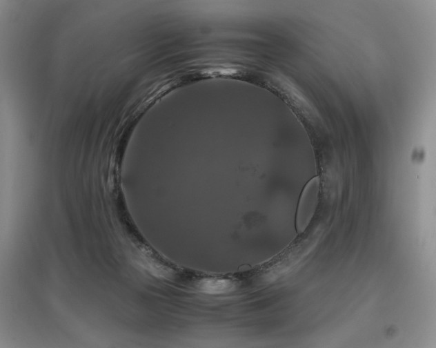 X0000097660169200802291435