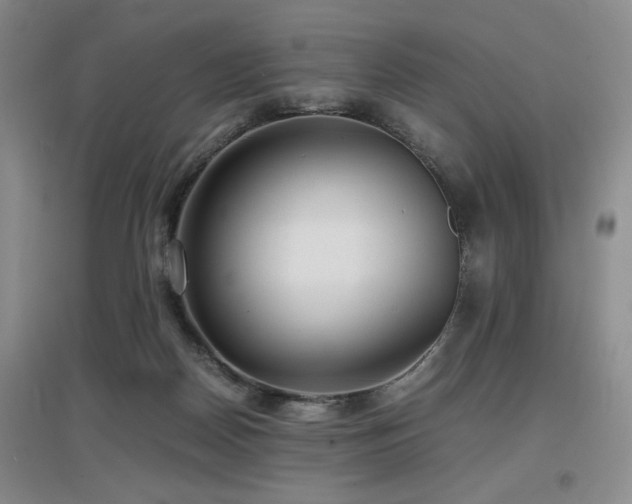 X0000097660170200802291435