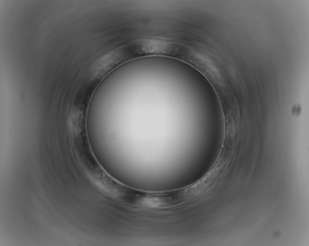 X0000097660171200802291435