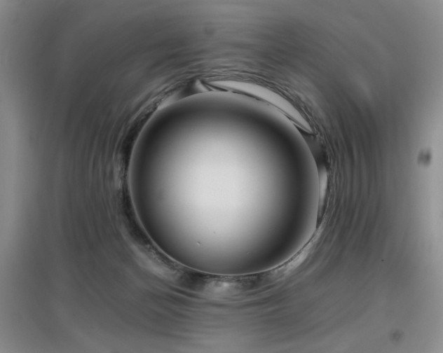 X0000097660174200802291435