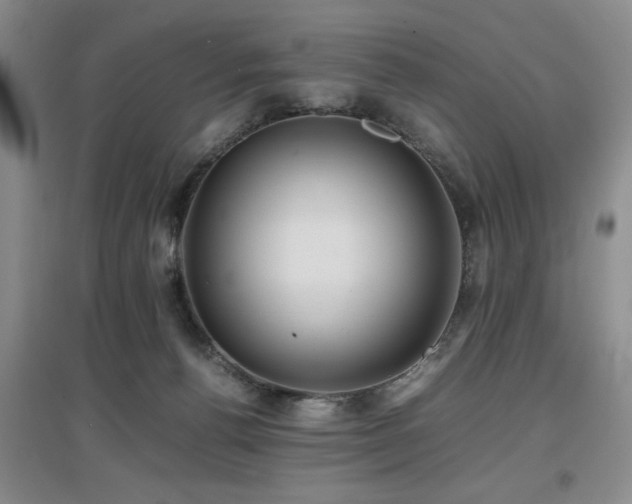 X0000097660176200802291435