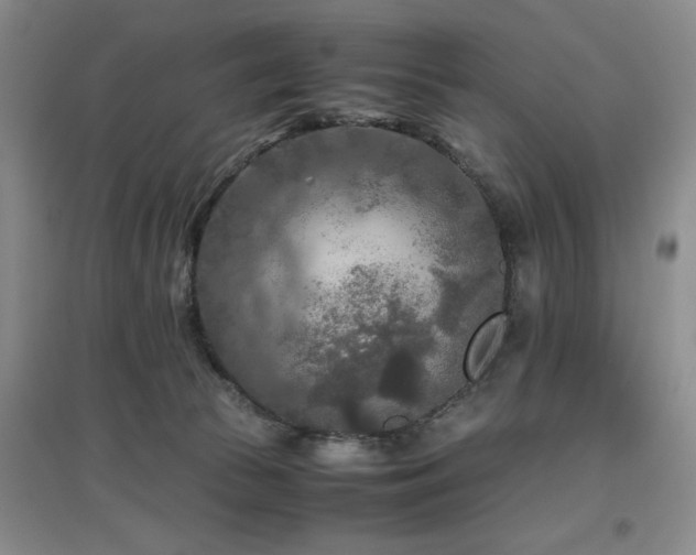 X0000097660177200802291435