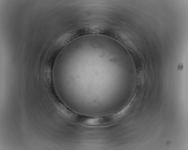 X0000097660178200802291435