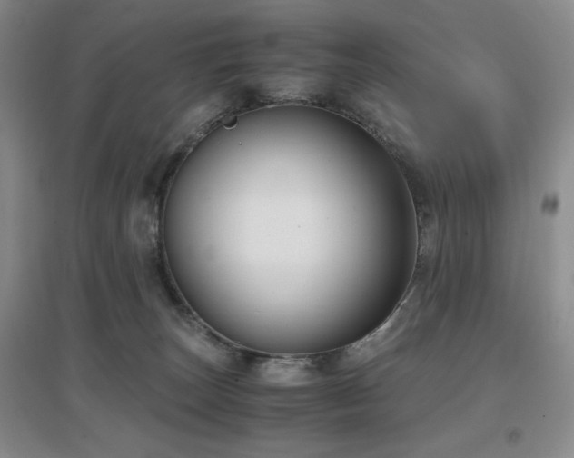 X0000097660179200802291435