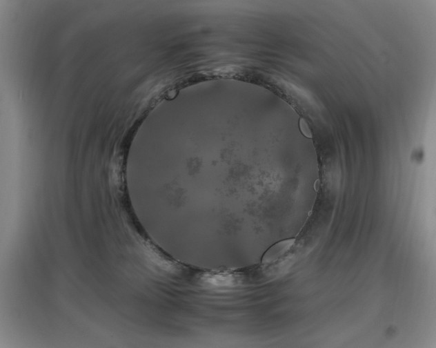 X0000097660181200802291435