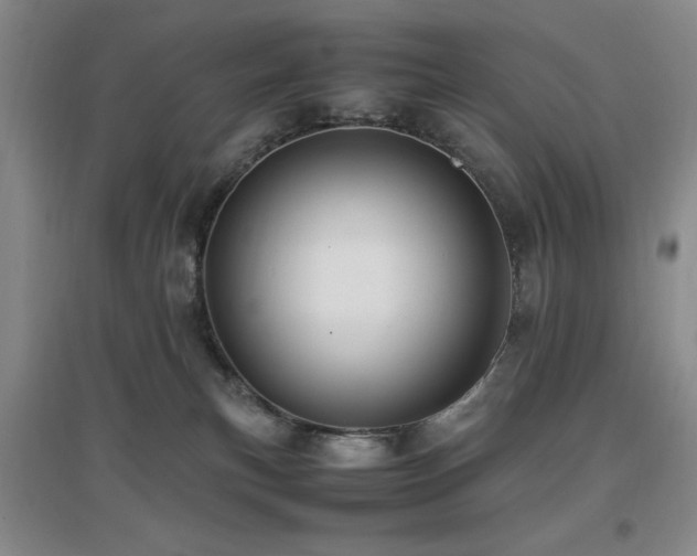 X0000097660183200802291435