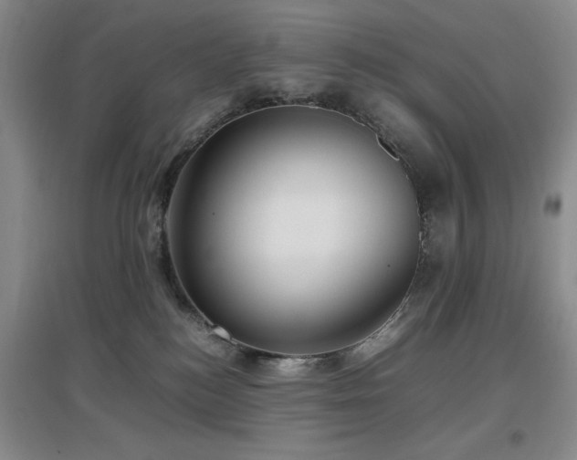X0000097660184200802291435