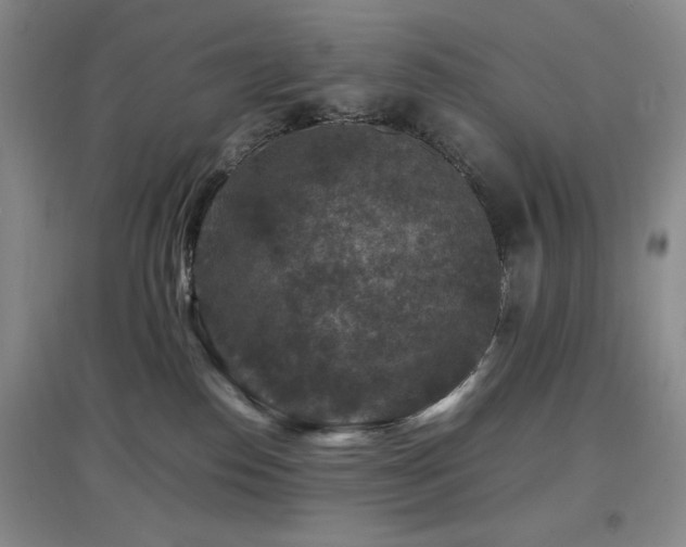 X0000097660186200802291435
