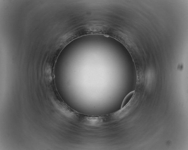X0000097660187200802291435